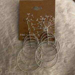 Elegant Silver Hoop Earrings